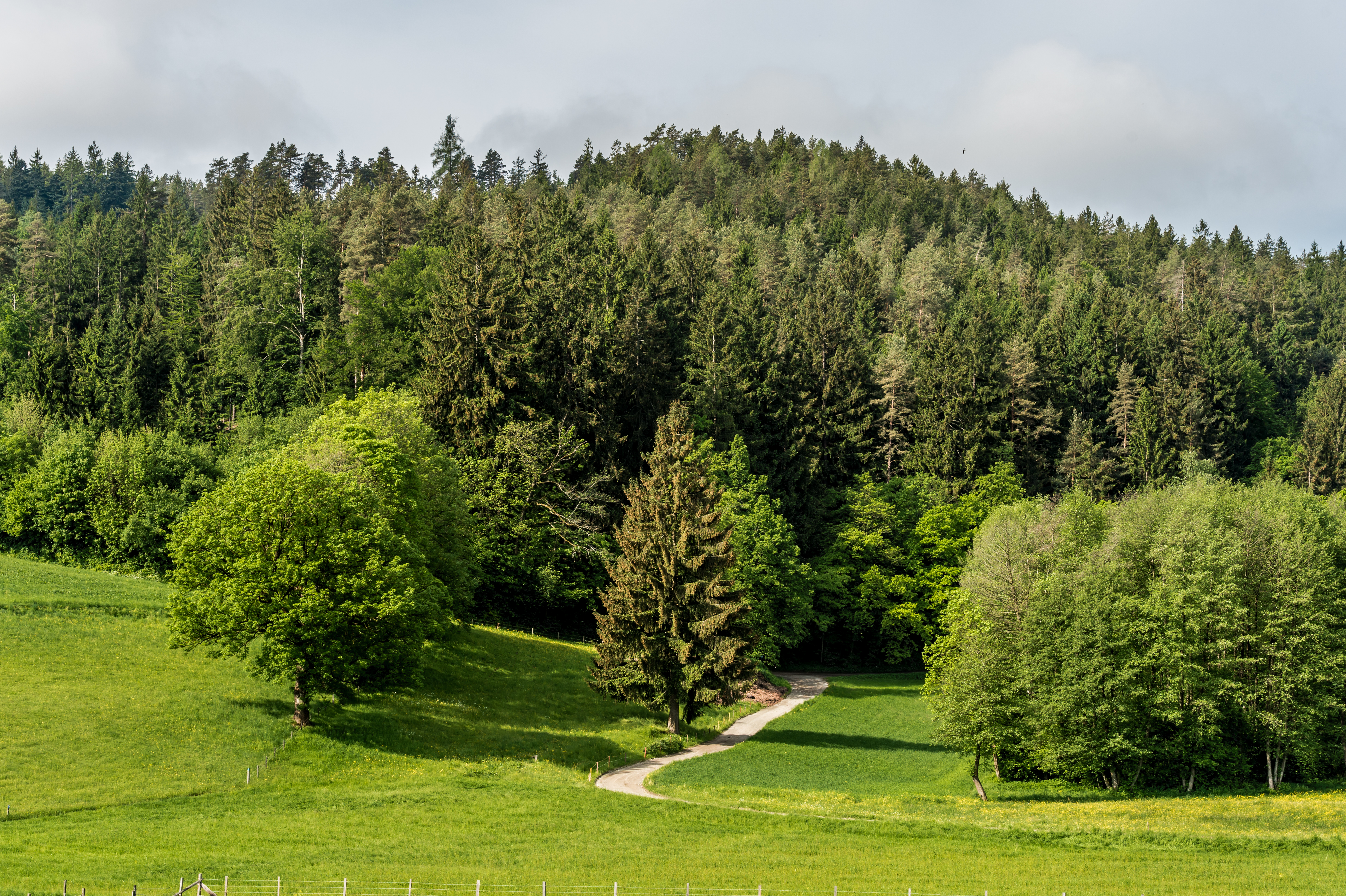 Acreage & Raw Land